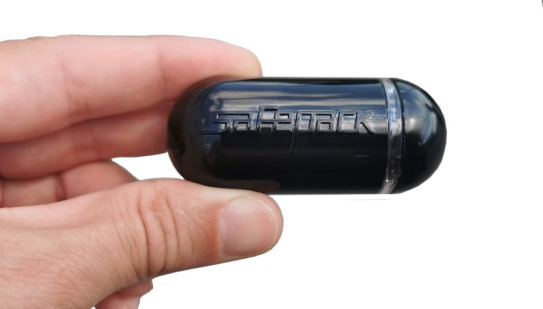 Капсульный термодатчик Biocard Safepack SmartSensor для контроля грузоперевозок с температурным режимом в руке